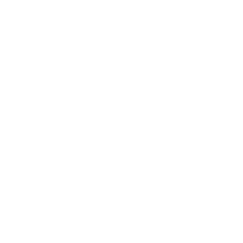 travelbro